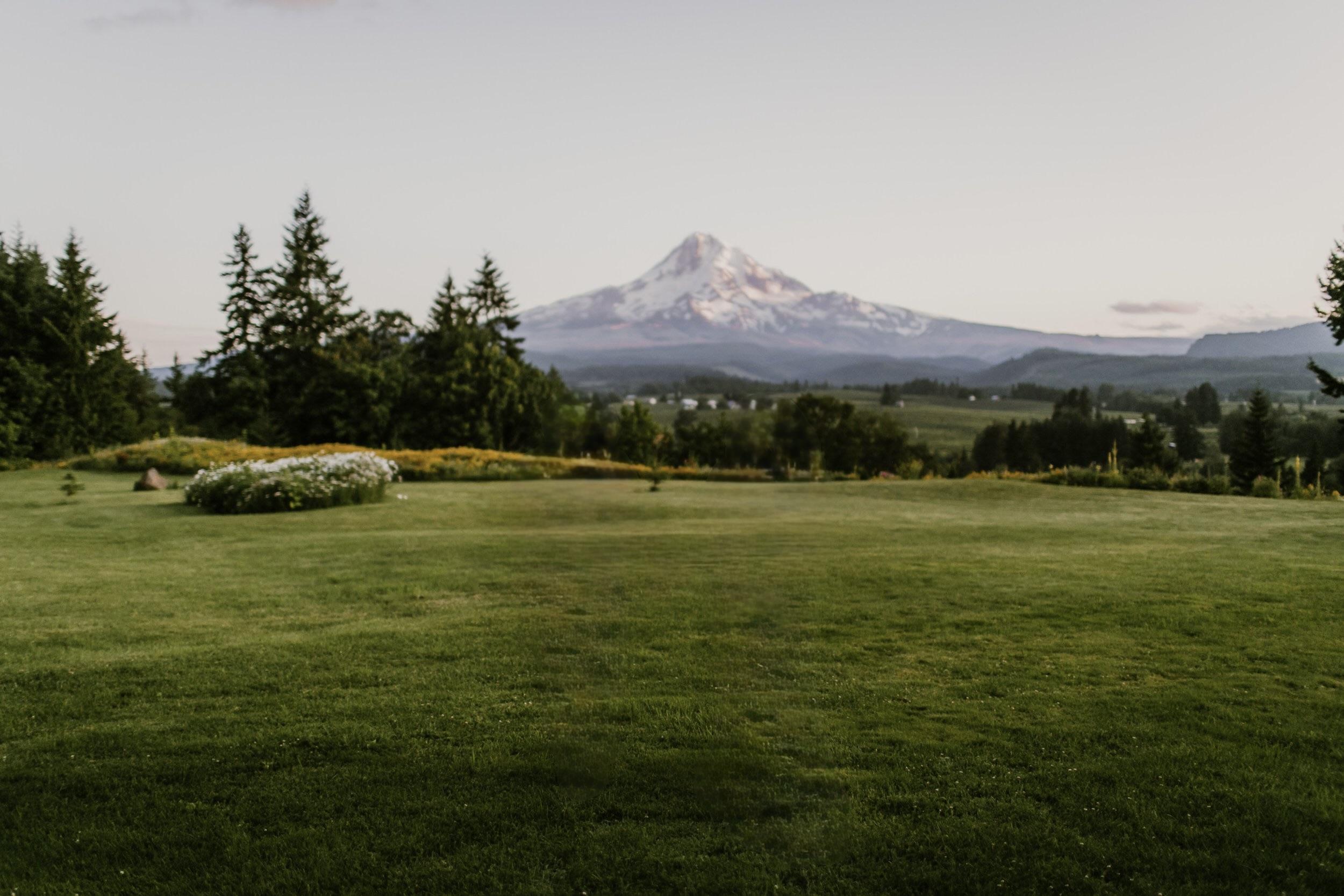 The Wedding Website of Ben Lang and Grace Furnari