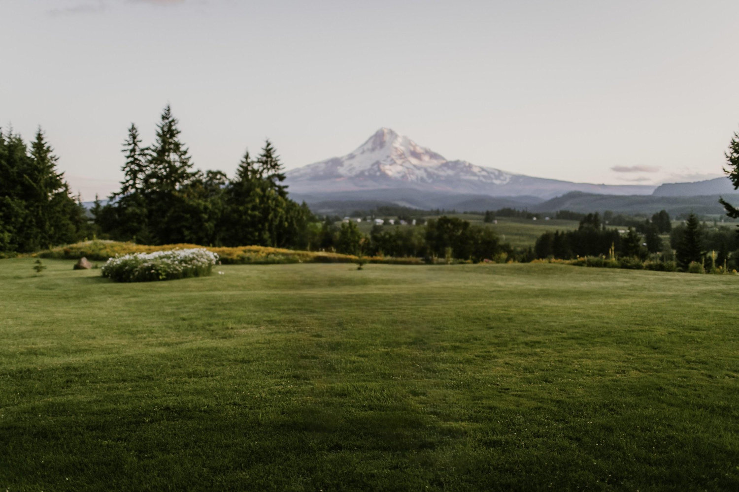 The Wedding Website of Ben Lang and Grace Furnari