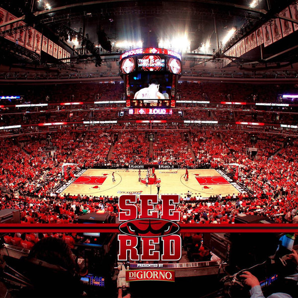 2 Tickets to a Chicago Bulls game
