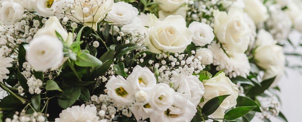 a2b9dd31-2045-48e2-9dc3-c70e341ba45b