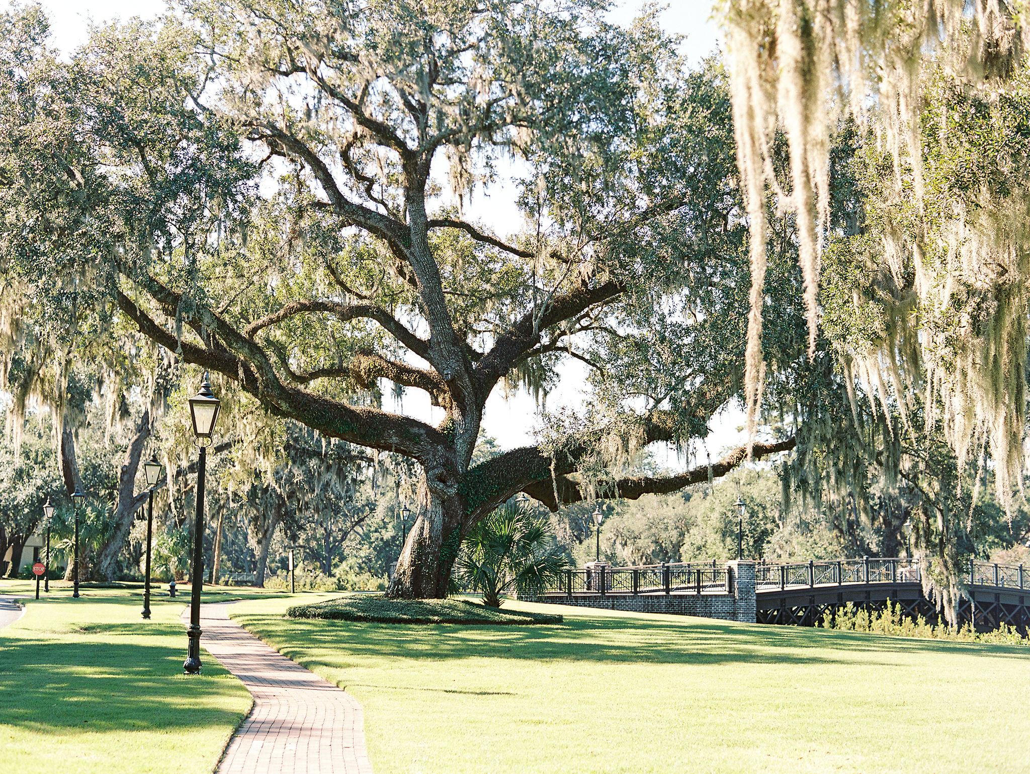 The Wedding Website of Courtney Price and James Aull