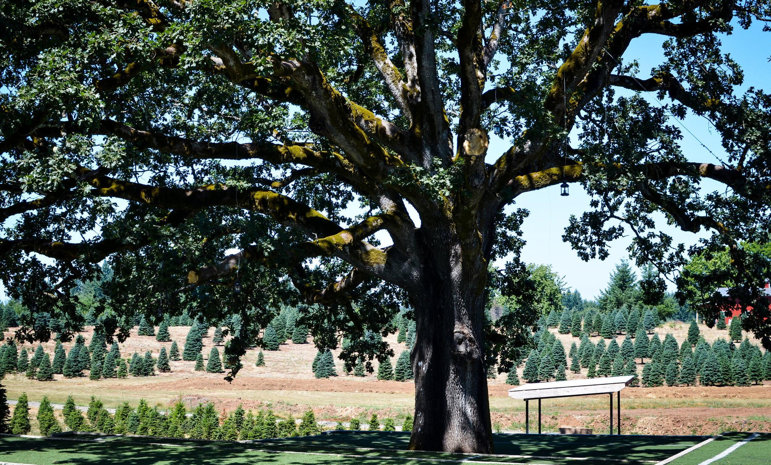 The Wedding Website of Jessi Marlow and Kraig Partridge
