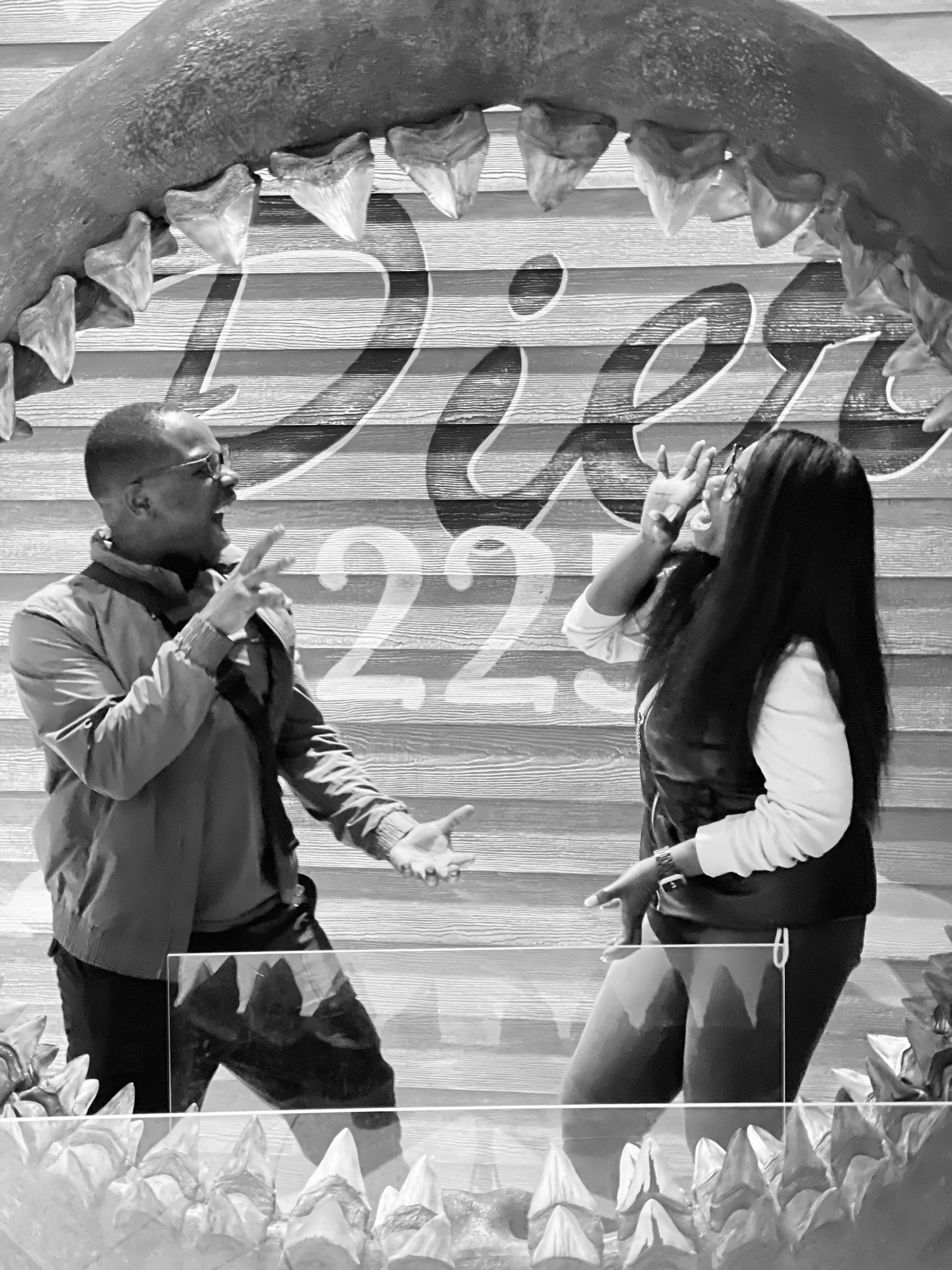 The Wedding Website of Toolu Oladapo and Tolu Ola-Odudu