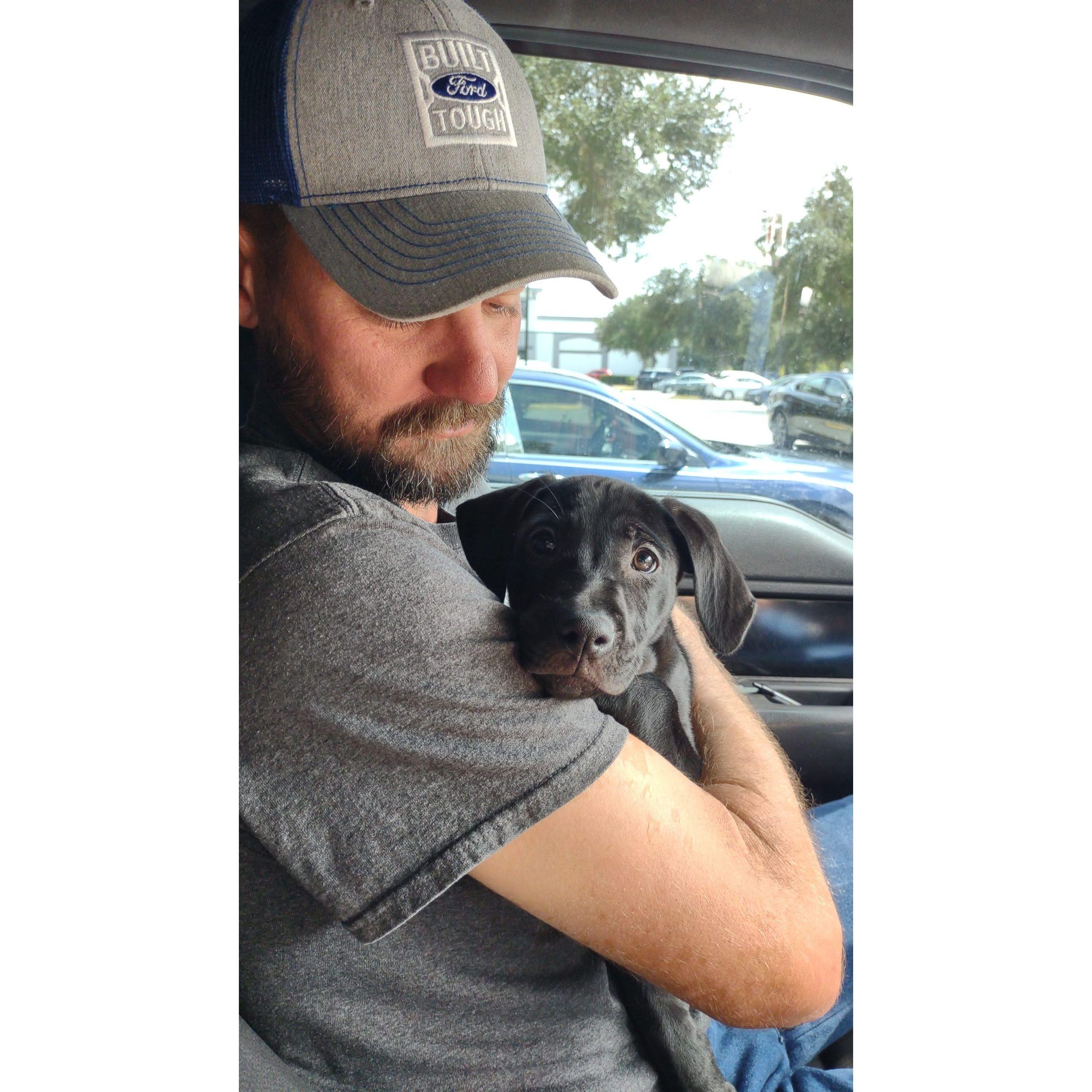 watching our 4 legged family grow