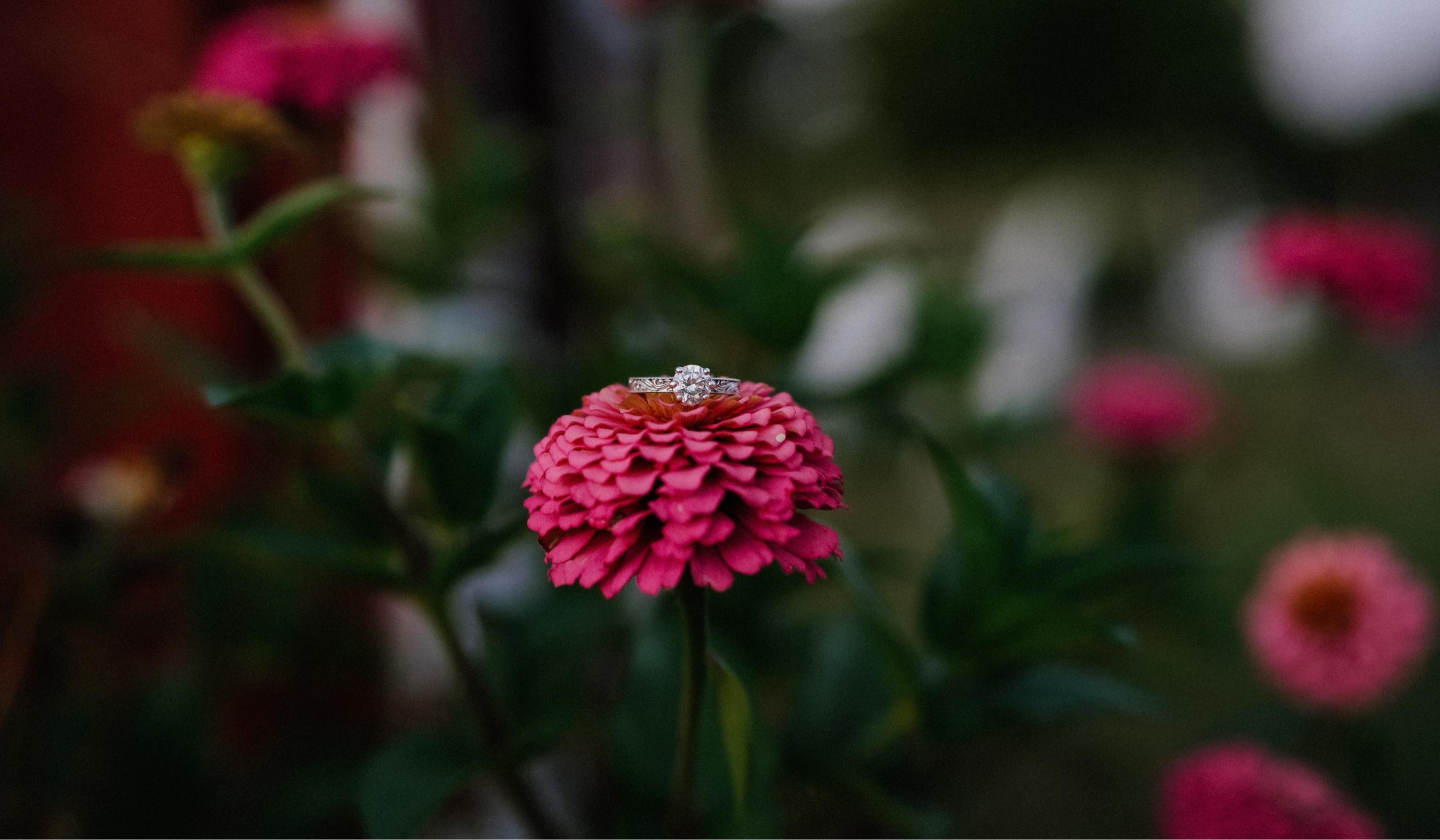 The Wedding Website of Peyton Henderson and Chance Chandler