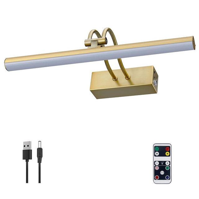 RAIFOOLLY Picture Lights for Wall,20" Battery Painting Light with Remote Dimmable and Timer, 2 Lighting Modes Art Display Light, Wall Decorative Lighting for Canvas, Portrait,Frame-Brass
