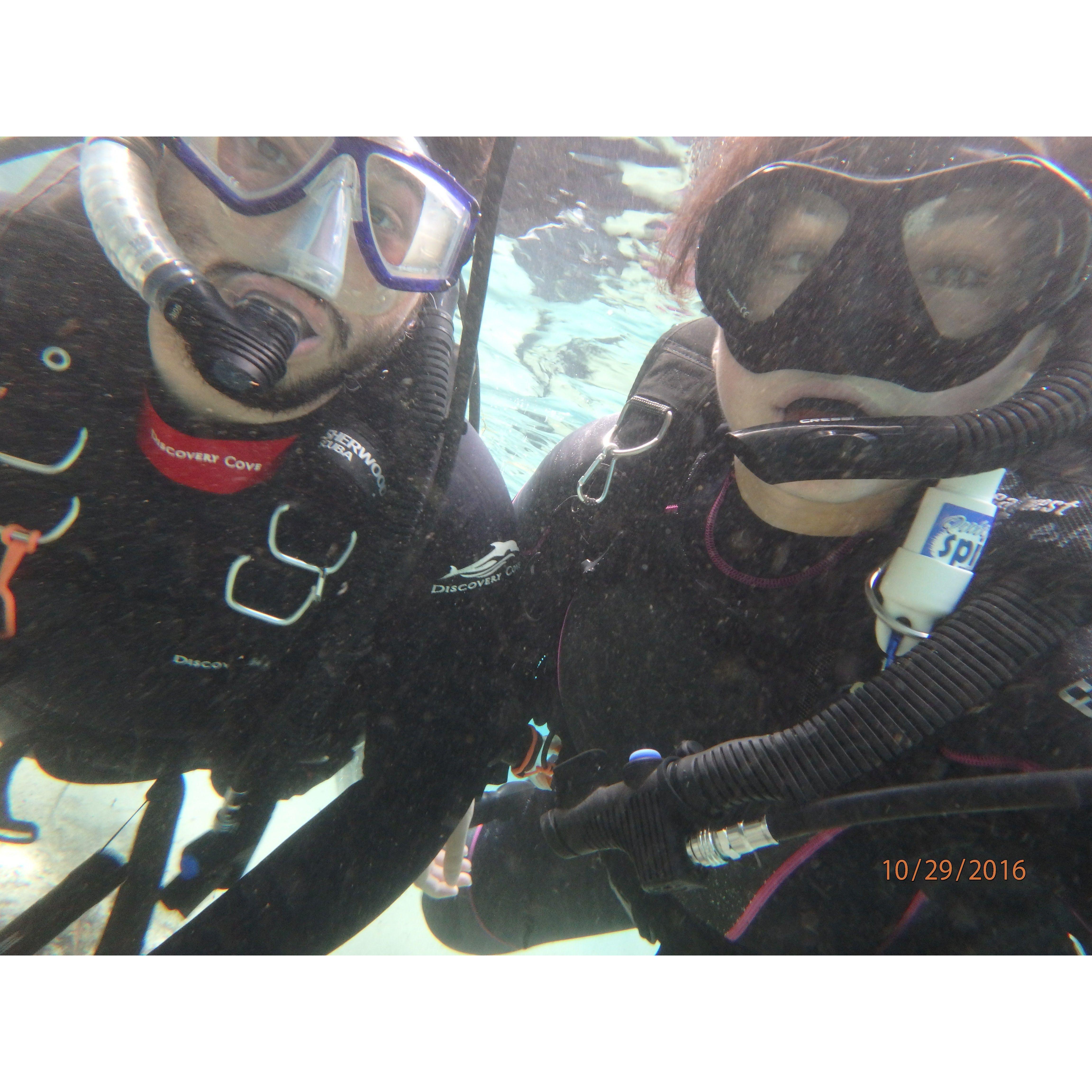 Another fun diving trip!