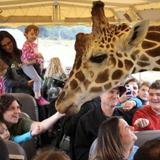 Fossil Rim Wildlife Center