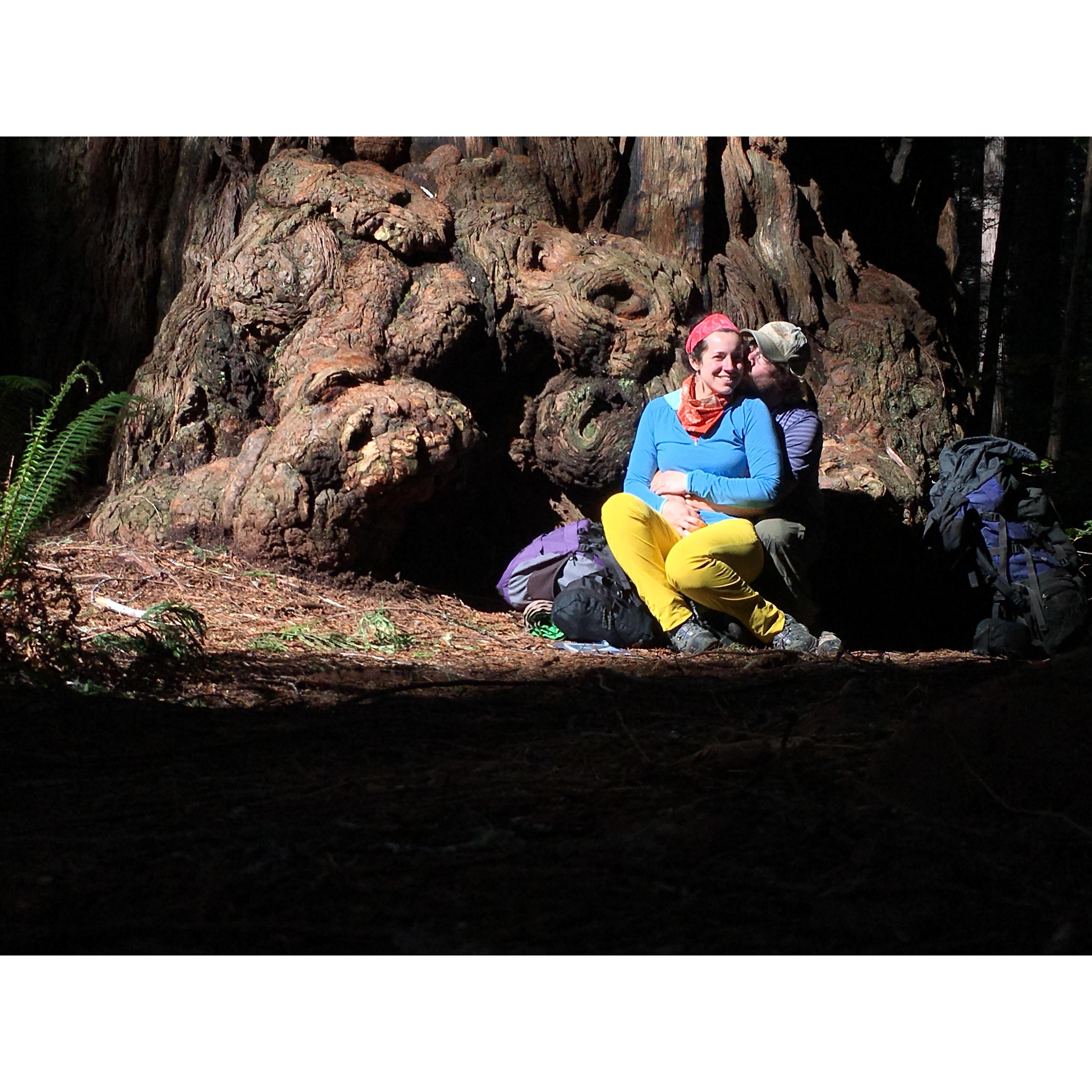 Our first photo after our engagement at "The Mother Tree" in Prairie Creek Redwoods State Park