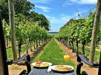 Harmony Vineyards
