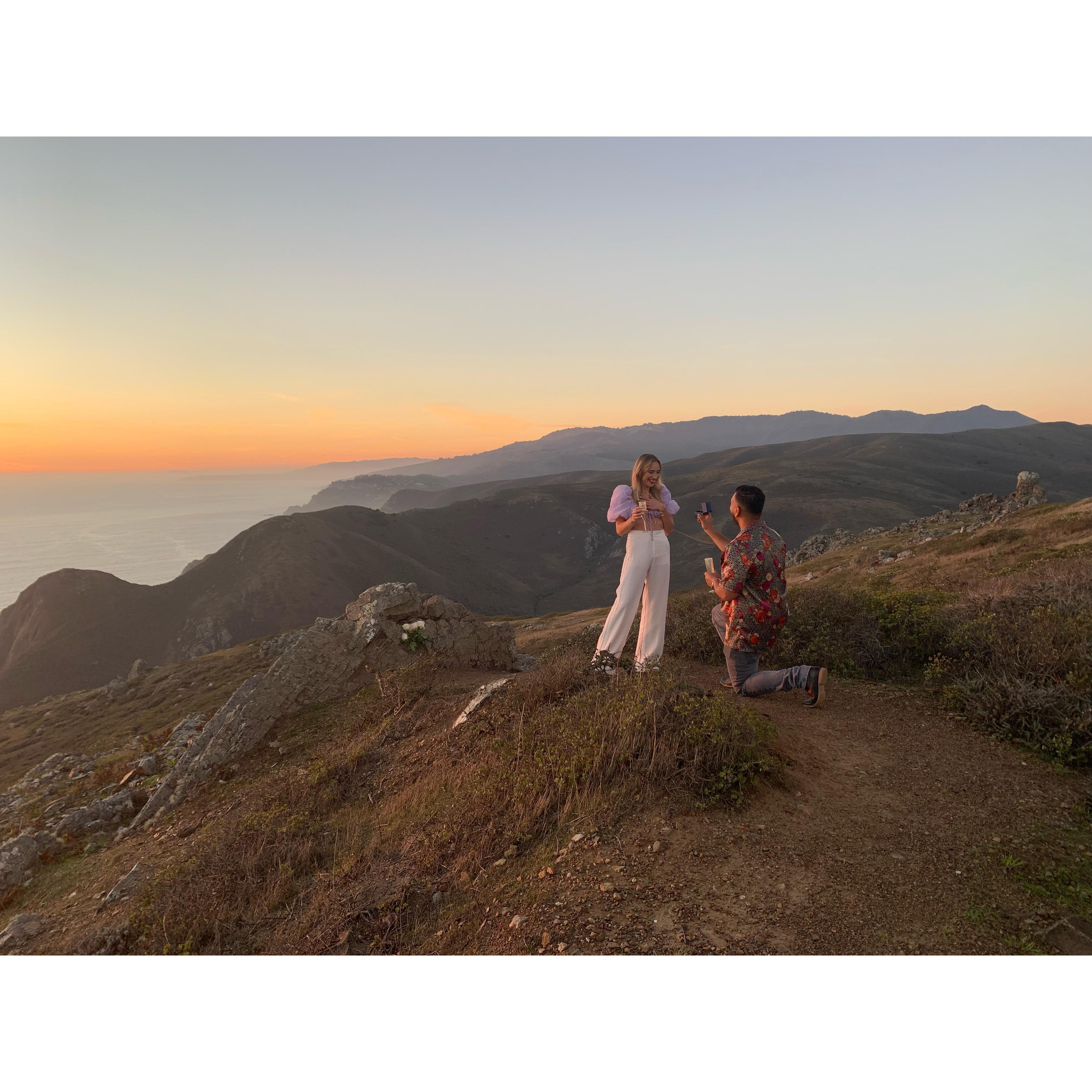 The Proposal