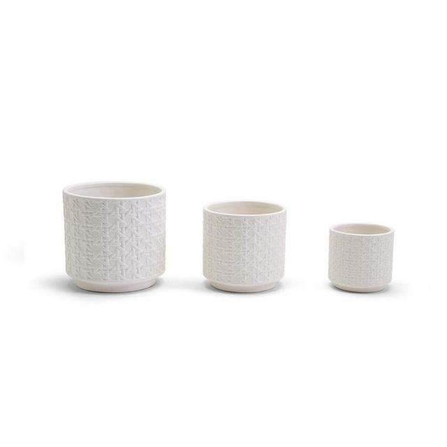 Two's Company Set of 3 Embossed Cane Webbing Planters