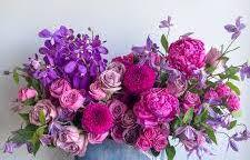 The Wedding Website of Nancy Rivera and Kenny Mizzi