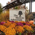 The Morton Arboretum