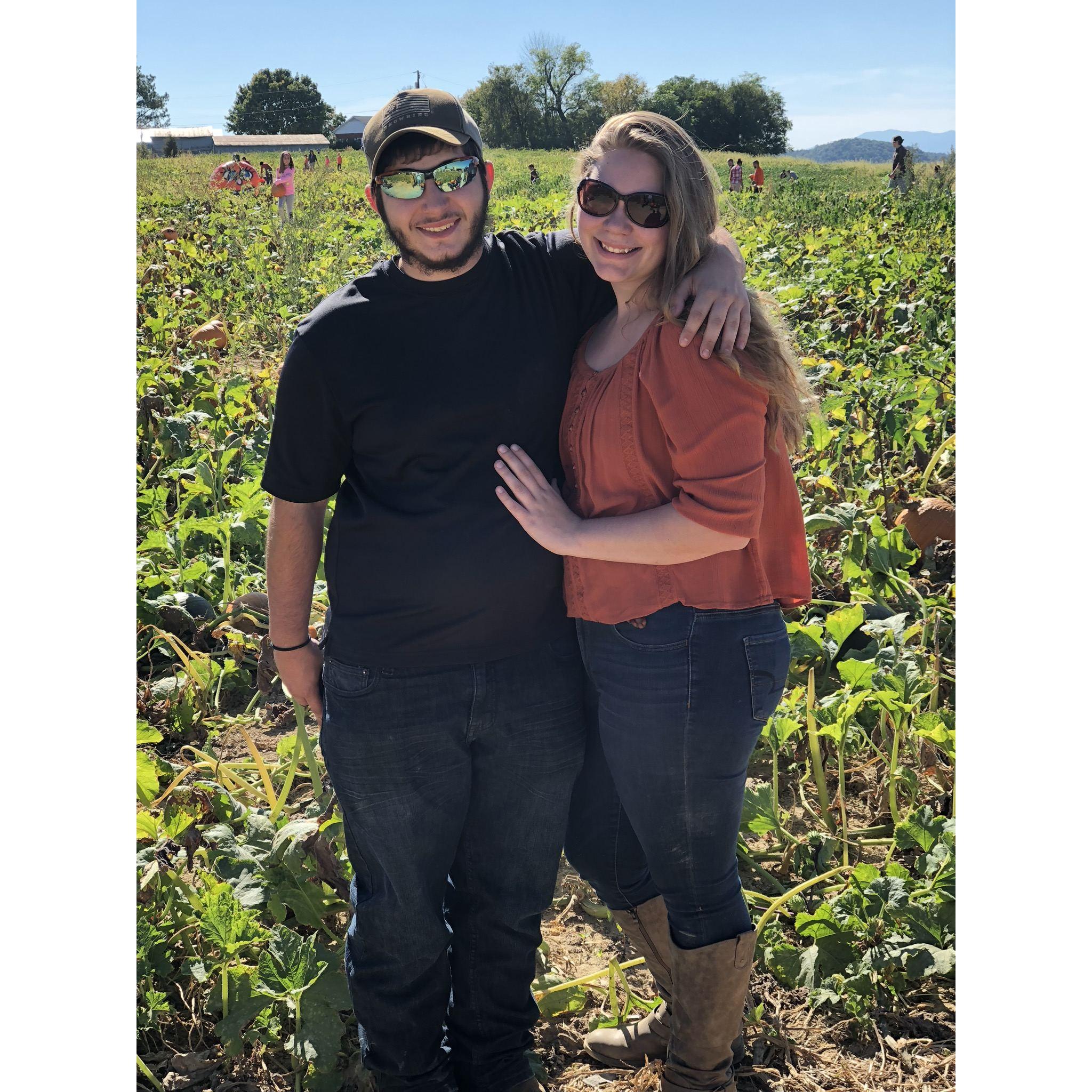Pumpkin patch 2017