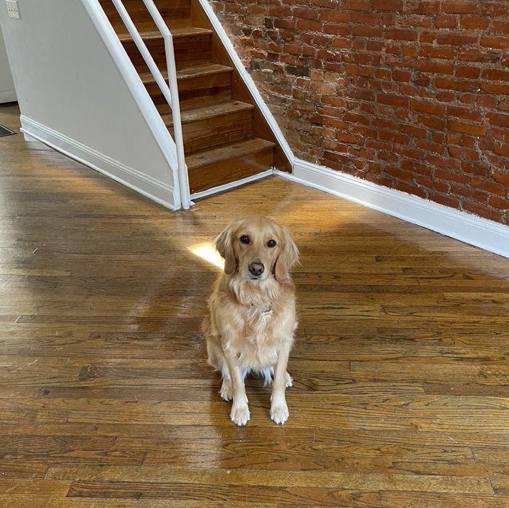 Before we finally moved in together in 2022.