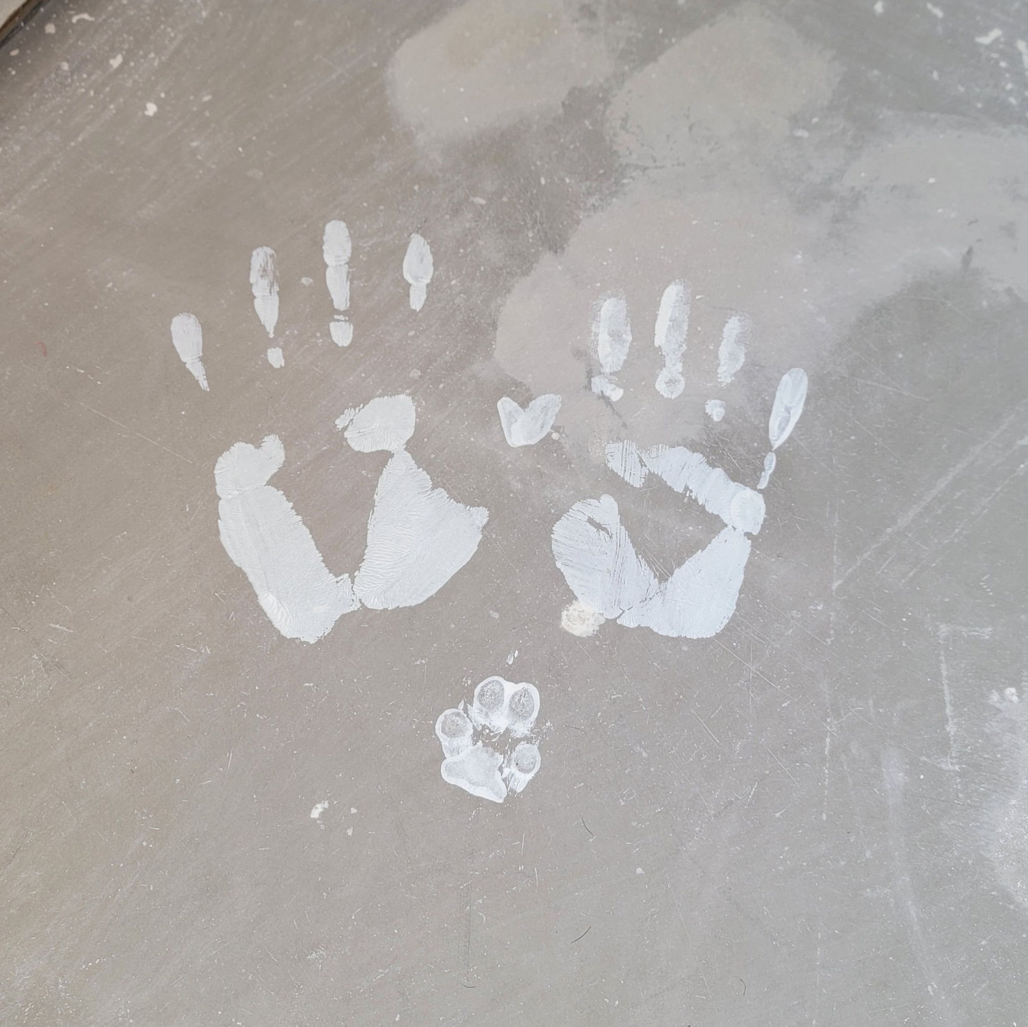 Jan 2025 - Bella, Bruce, and Bearbear leave behind a painting before flooring goes down in the master bedroom.