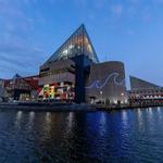National Aquarium