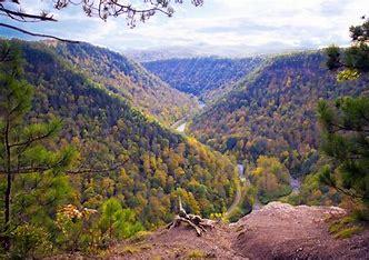 The Wedding Website of Sarah Ingerick and Roberto Castillo