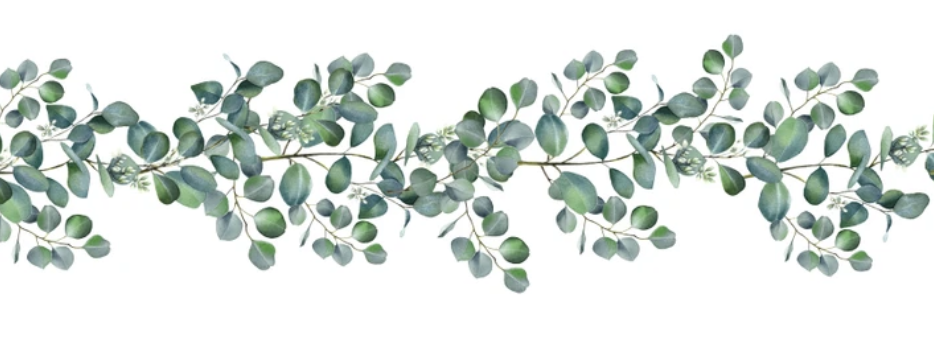 The Wedding Website of Leah Subrizi and Justin Vollmin