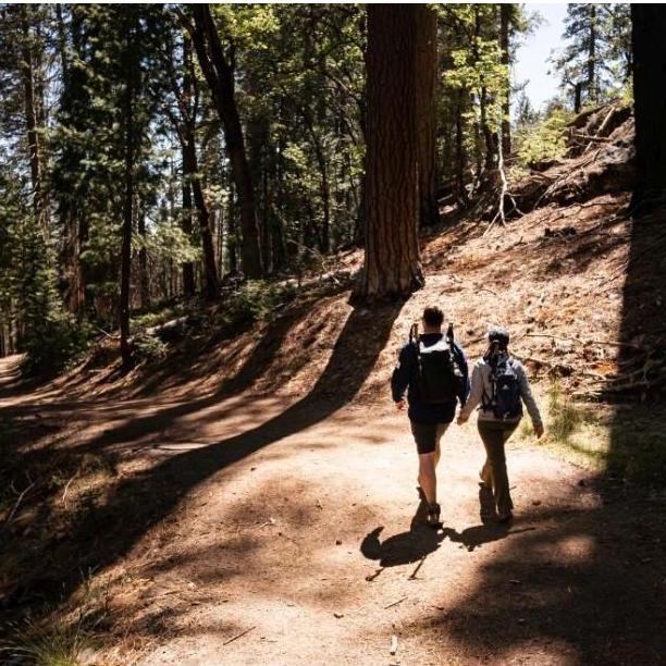 Mariposa Grove, Yosemite, 2021