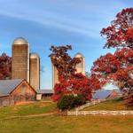 Peaks of Otter Winery