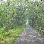 Cape Cod Rail Trail