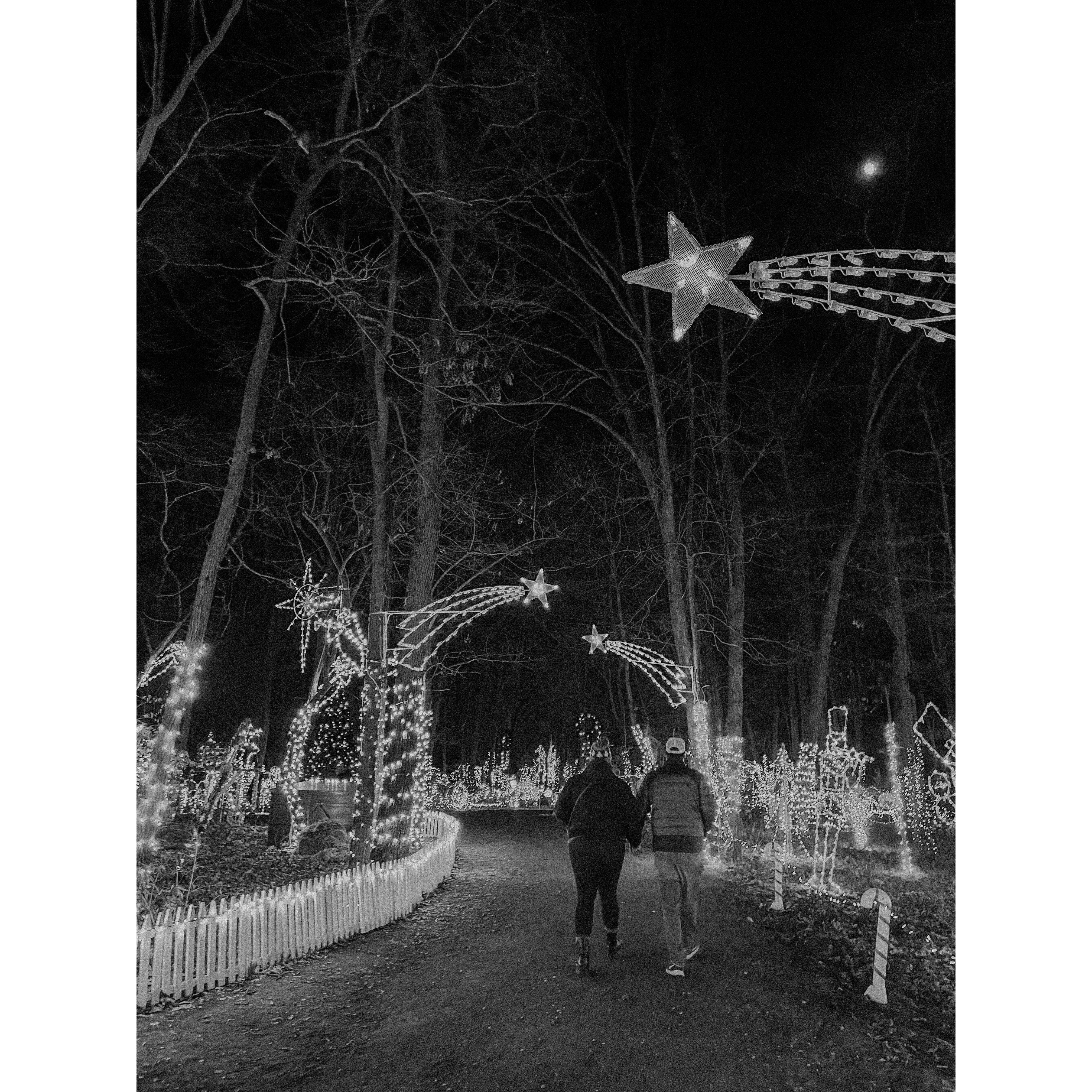 Christmas lights with friends!