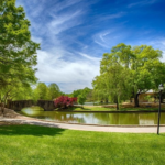 Freedom Park
