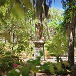 Bonaventure Cemetery