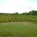 Lovingston Winery