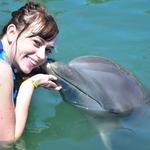 Cabo Adventures - Dolphin Swimming, Luxury Sailing, & more!