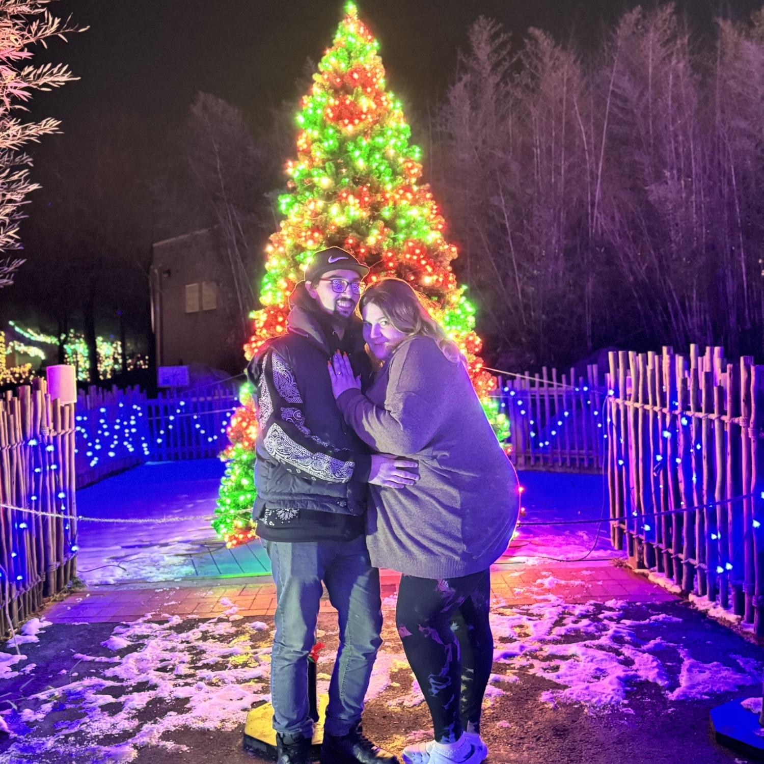 Snuggle up by the Christmas tree