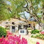 Signor Vineyards | Downtown