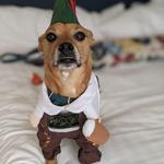 Day Trip to Leavenworth