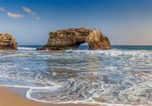 Natural Bridges State Beach