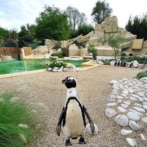 Bioparco di Roma Tickets