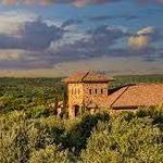 Texas Hill Country Olive Co.