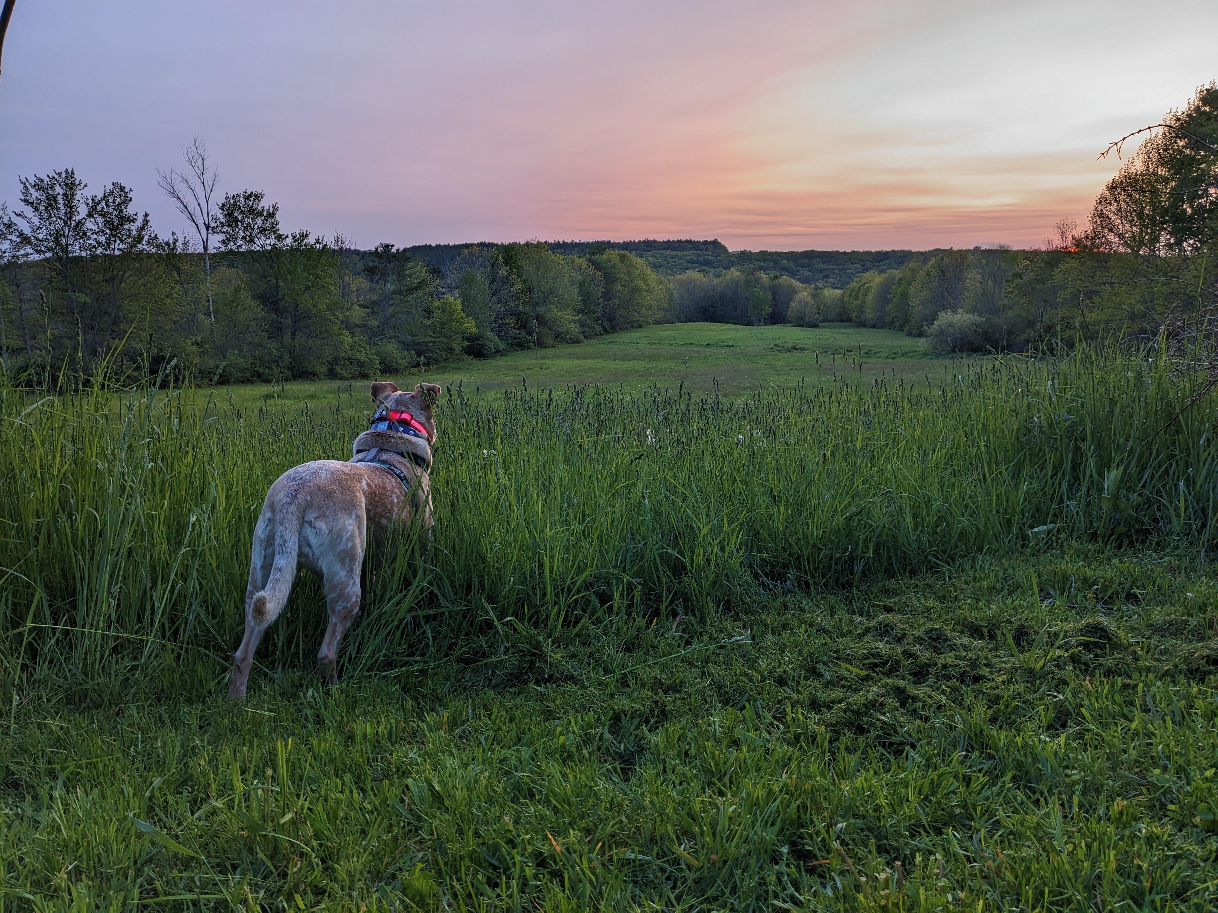 The Wedding Website of Emily Sullivan and Griffin Sherry