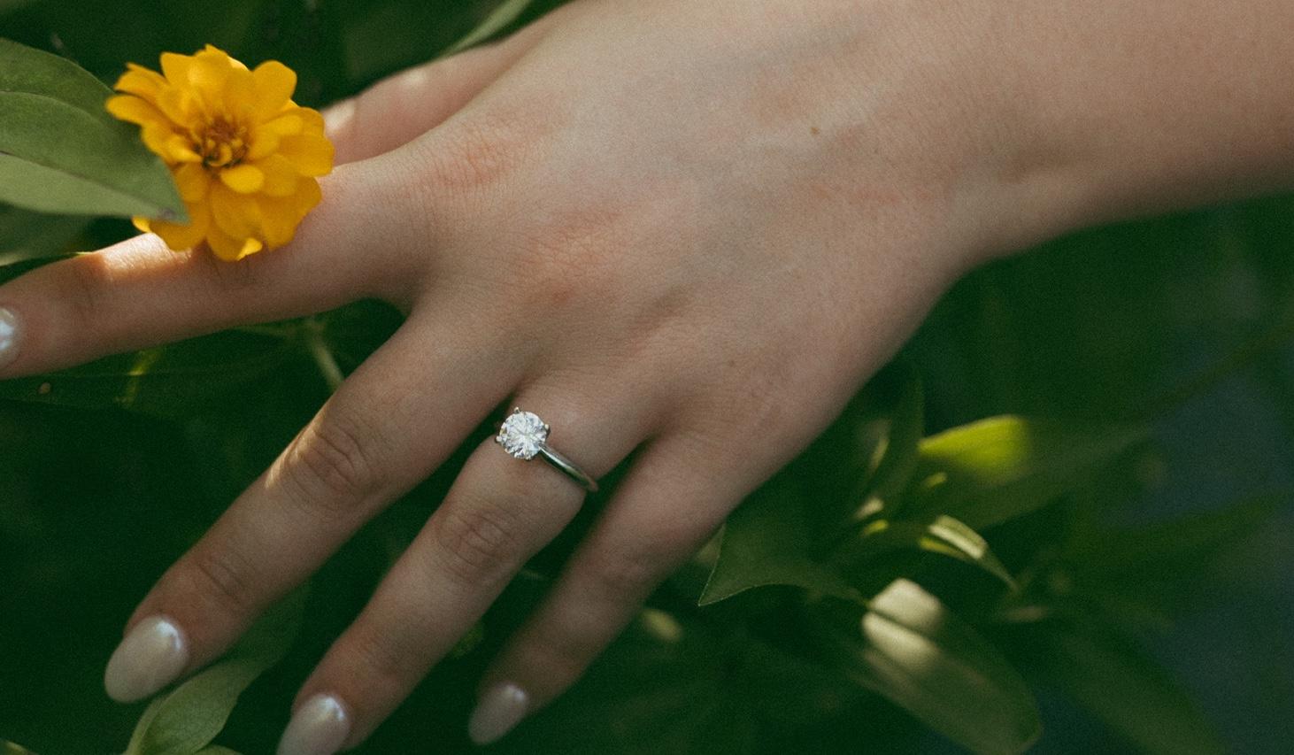 The Wedding Website of Casey Ellington and Justin Schelling