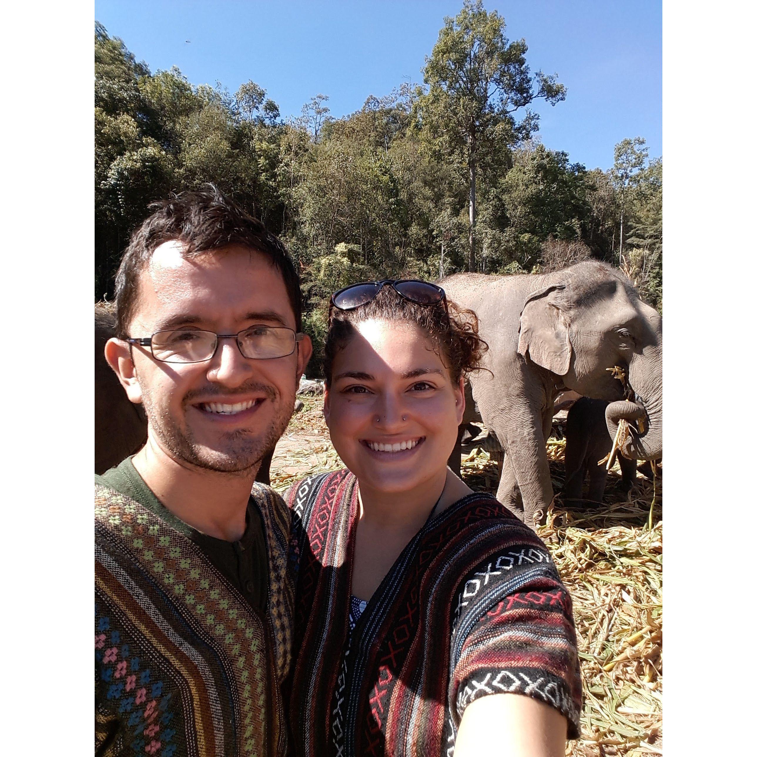 At an Elephant Sanctuary in Thailand (2016)