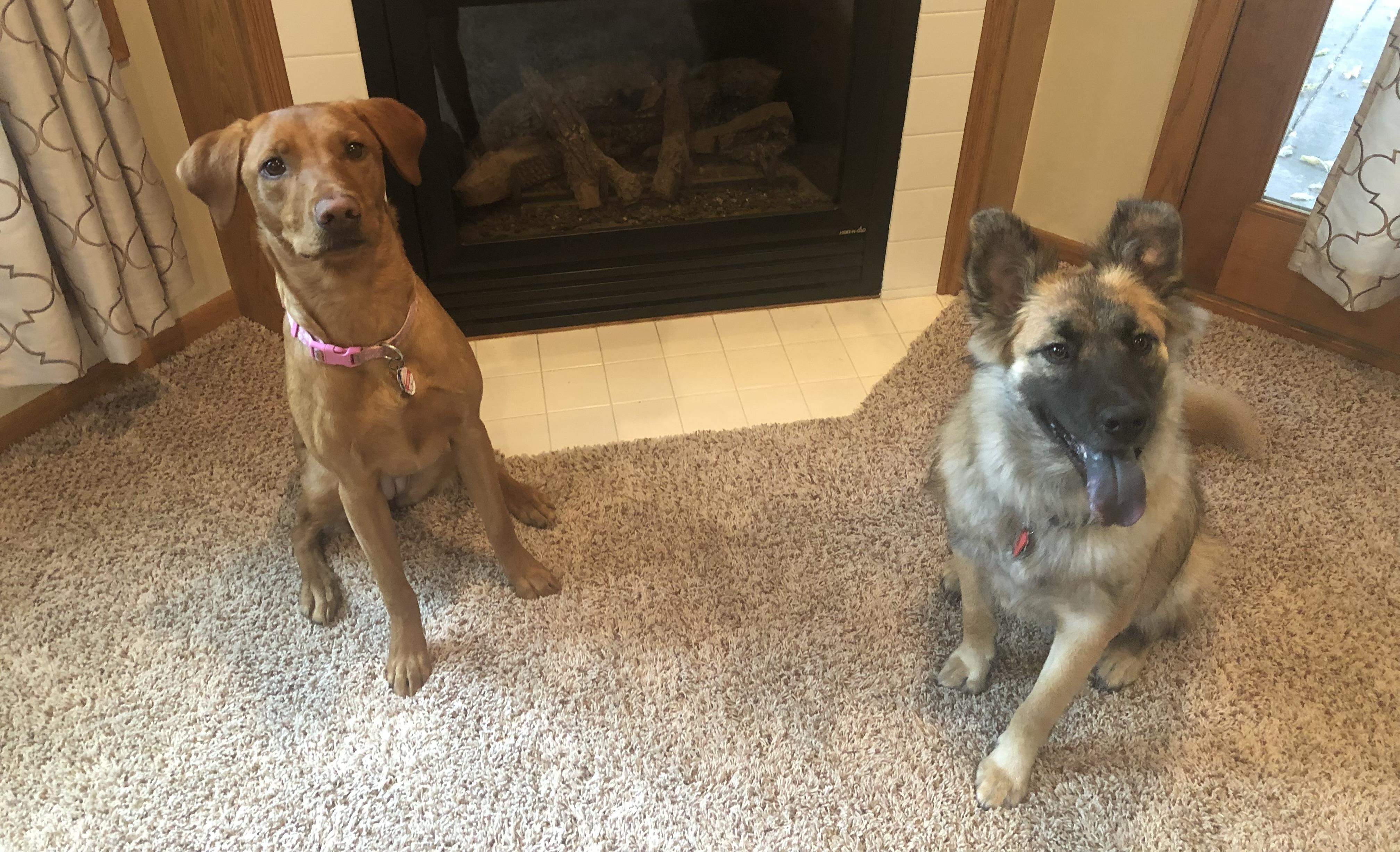 The Wedding Website of Flossie Neale and Colin Fry