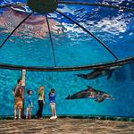 Indianapolis Zoo