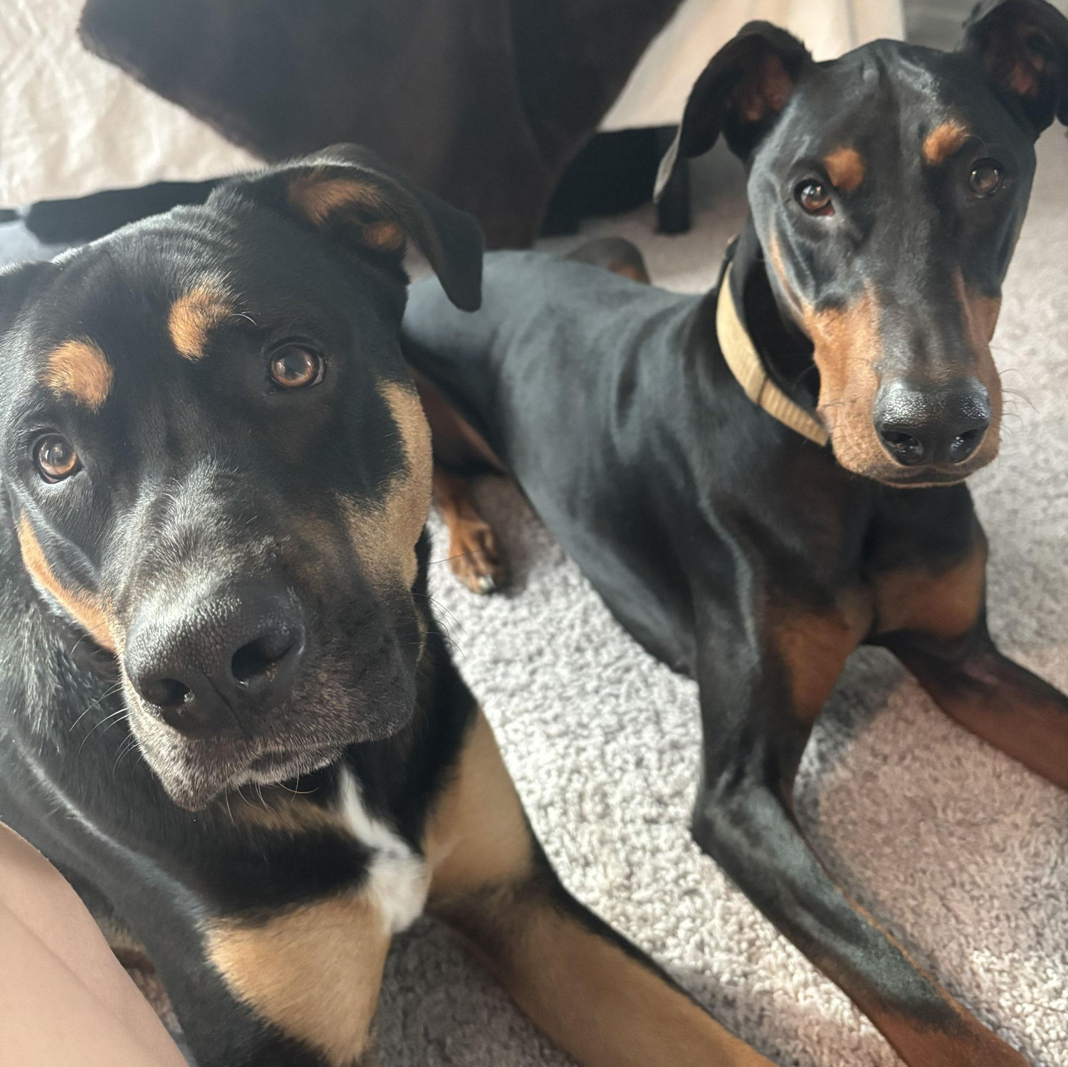 The babies