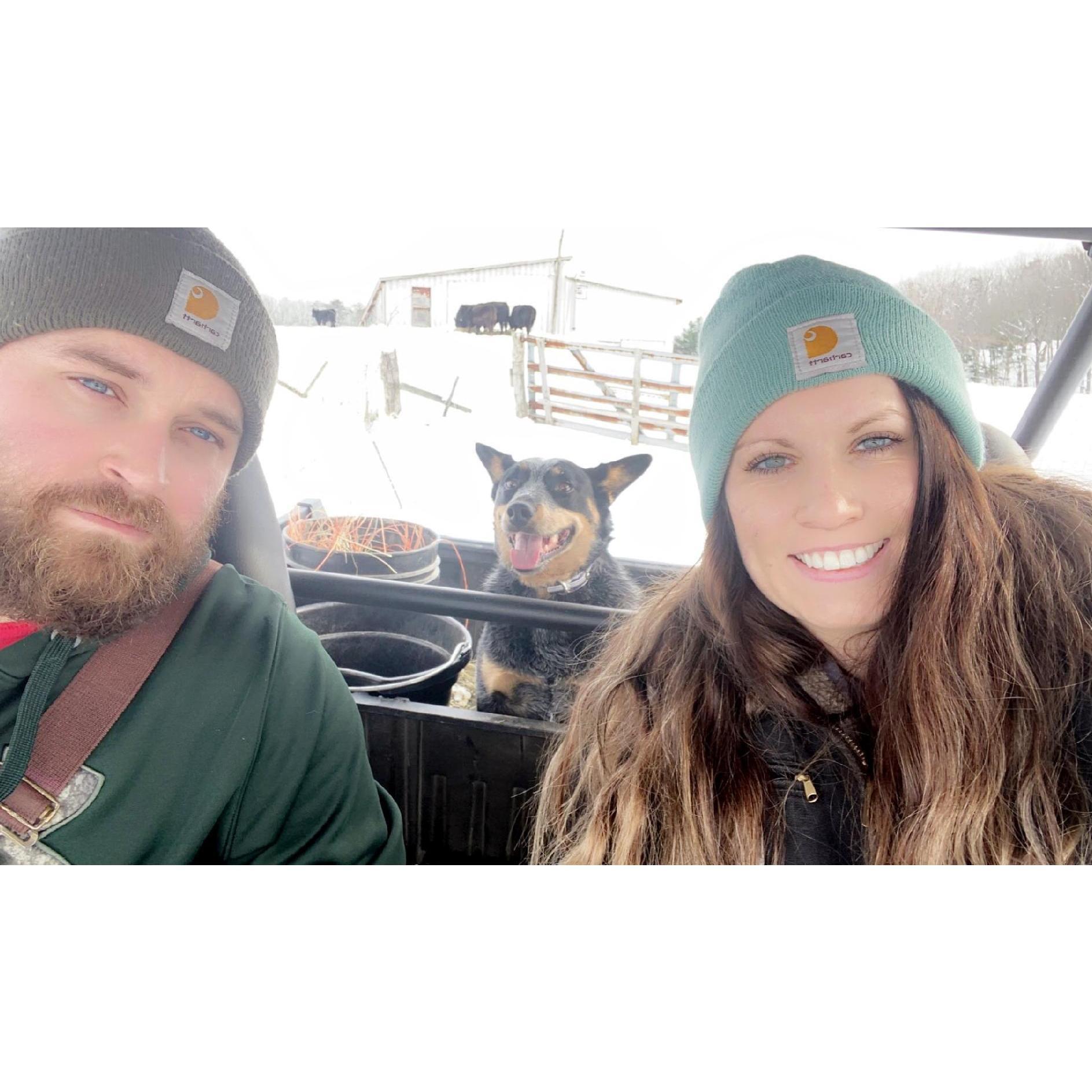We love the farm!