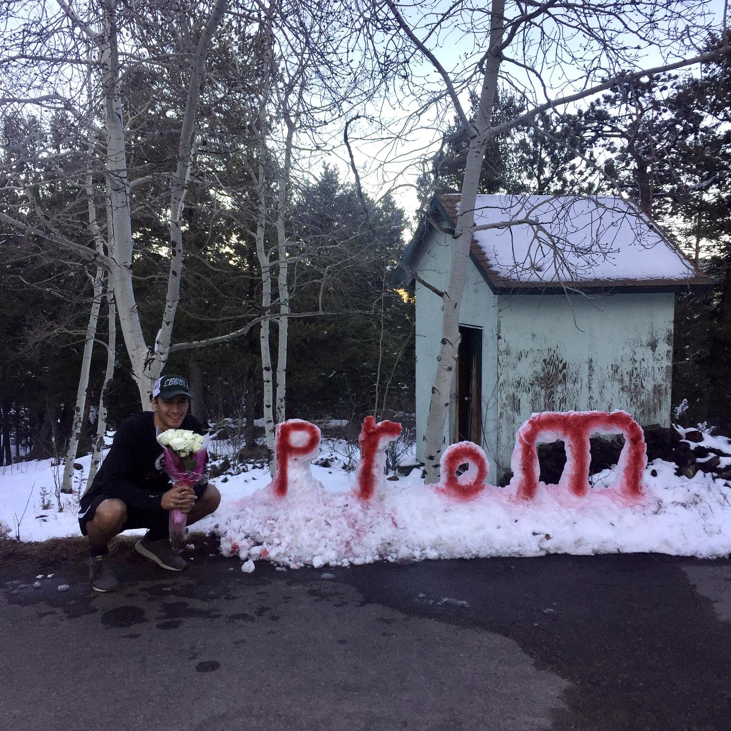 Prom-posal 2018