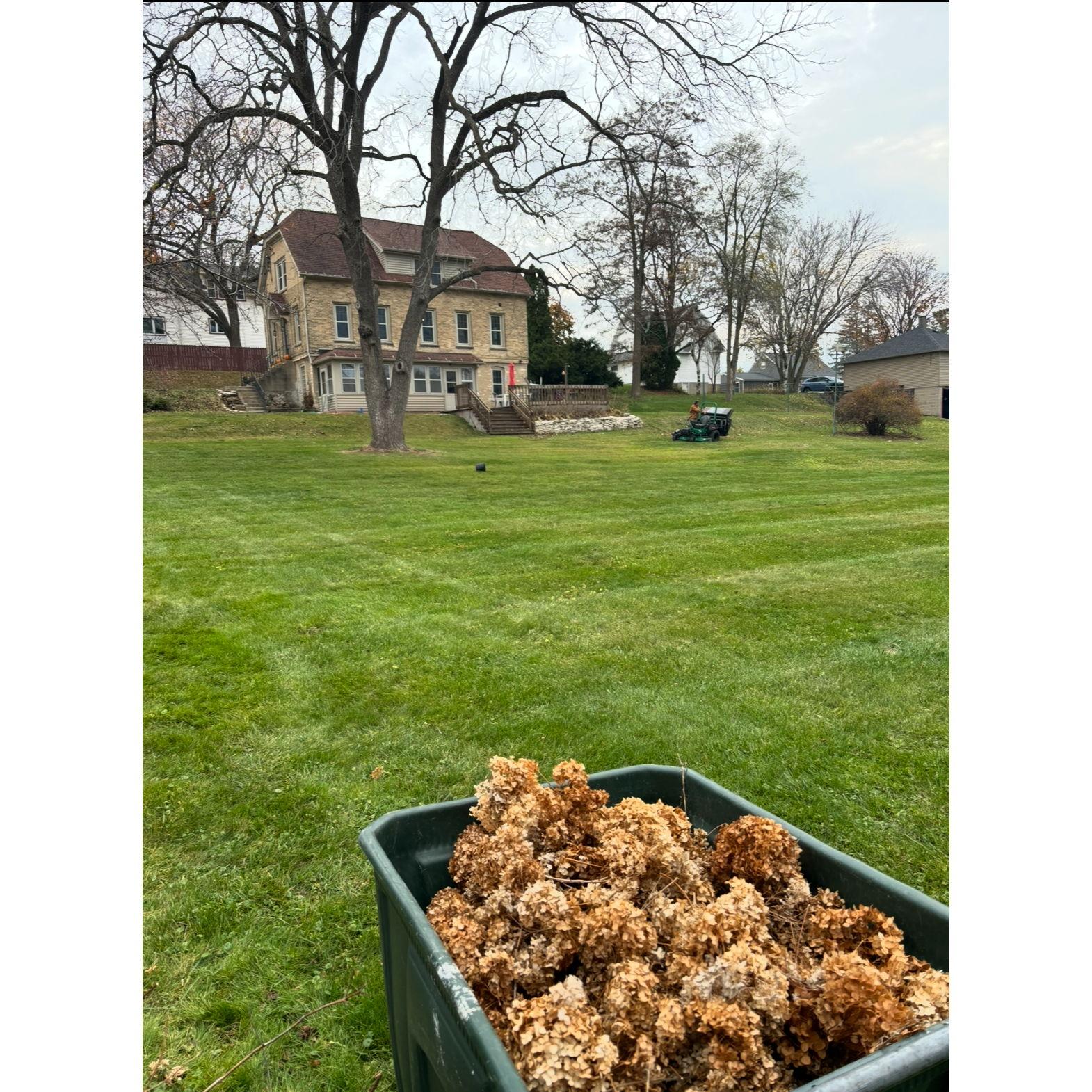 A new house means lots of projects and making the home our own. Lawn maintenance is essential, especially when you work at Bobcat.
