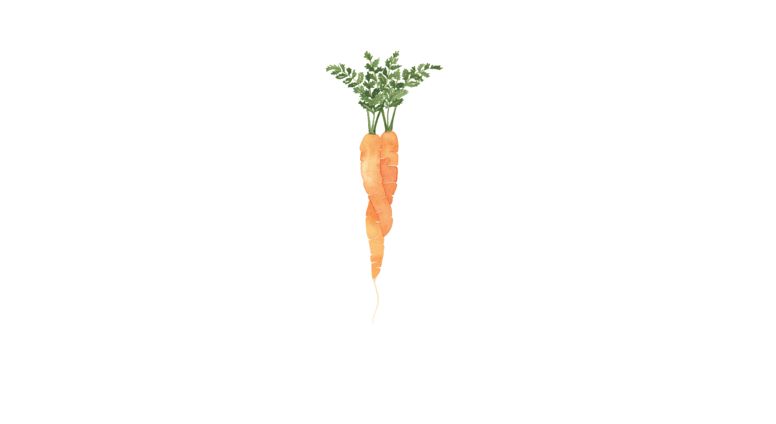 Footer image