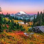 Mount Rainier National Park