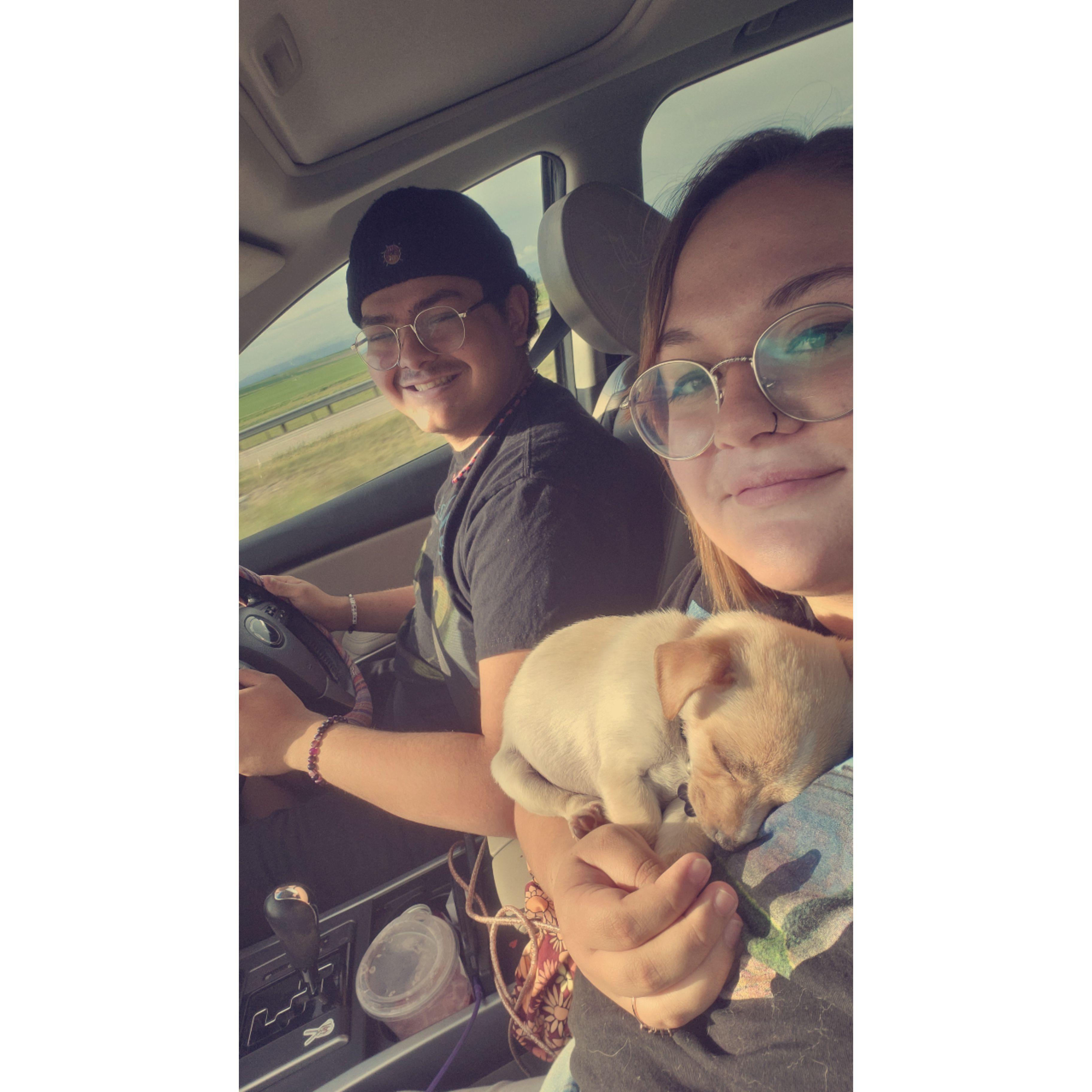 The day after we got our first dog together!